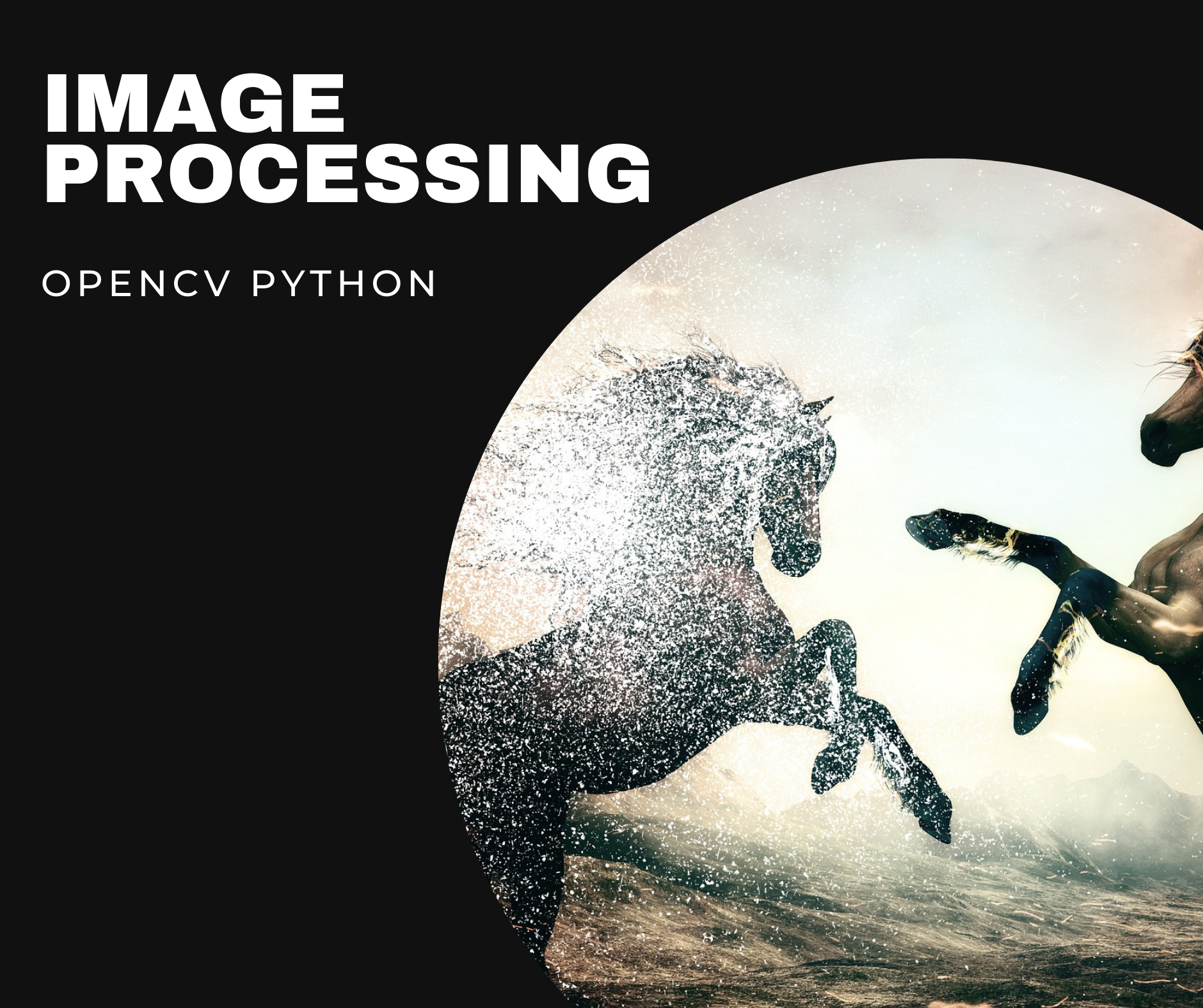 Image Processing
